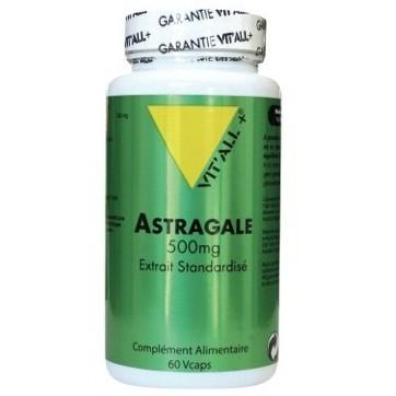 Astragale 500 mg 60 capsules vitall 