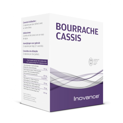 Bourrache cassis