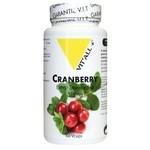 Cranberry extrait standardise 400 mg 60 comprimes vitall 3679 1