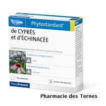Cypresechinacee 30cp