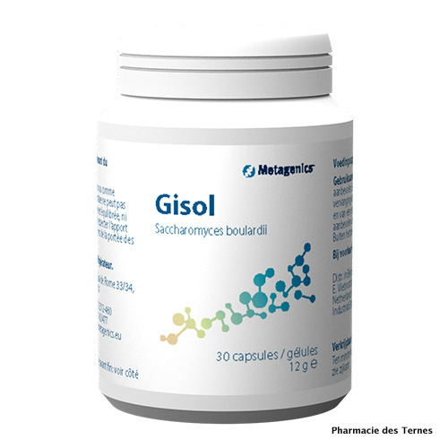Gisol 1